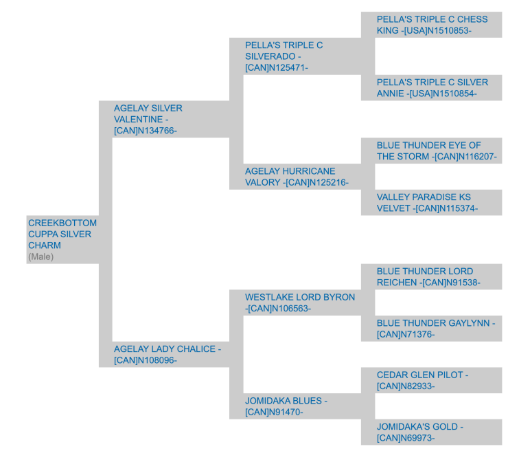 screen shot 2019-01-26 at 3.46.42 pm